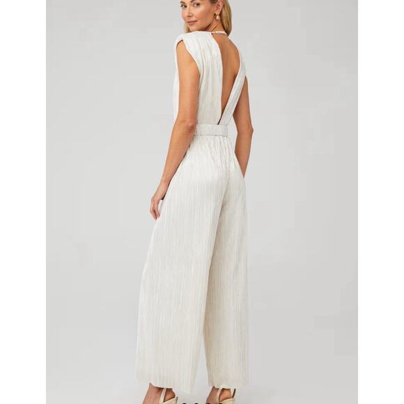 SABINA MUSAYEV Peleg Plunge Neck Jumpsuit Pearl Blush Size Medium, No Belt - Picture 2 of 12